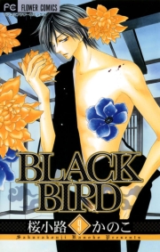 ＢＬＡＣＫ　ＢＩＲＤ　18