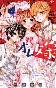 オレ嫁。〜オレの嫁になれよ〜　9