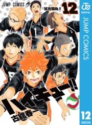 ハイキュー!! 27