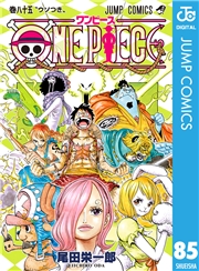ONE PIECE モノクロ版 85