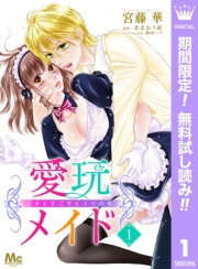 愛玩メイド 王子とすごすヒミツの夜 1