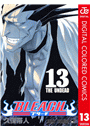 BLEACH カラー版 13
