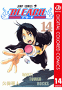 BLEACH カラー版 14