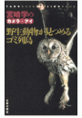 野生動物が見つめるゴミ列島　宮崎学のカメラ・アイ